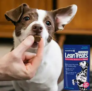 Covetrus Nutrisential Lean Treats for Dogs – Soft Dog Treats for Small, Medium & Large Dogs – Nutritional Low Fat Bite Size K9 Treats – Chicken Flavor – 3 Pack – 4oz
