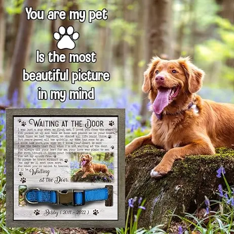 Customized Pet Memorial Picture Frame Memorial Dog Picture Loss Gift for Dog Lovers Natural Wood New Puppy Memorial Best Dog Ever Gifts In Memory of Dogs Memorial Pet Loss Sign Home Decor