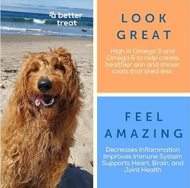 A Better Treat – Freeze Dried Beef Dog Treats, Grass Fed, Beef Liver Single Ingredient | Natural, Healthy, High Value | Gluten Free, Grain Free, High Protein, Diabetic Friendly | Made in The USA