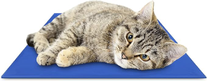 CHILLZ Cat Cooling Mat, Medium Size – Pressure Activated Cat Cooling Pad, Ideal for Summer – Non-Toxic Pet Cooling Mat for Cats, Self Cooling Gel Pad – No Water or Electricity Needed – 20″ x 16″