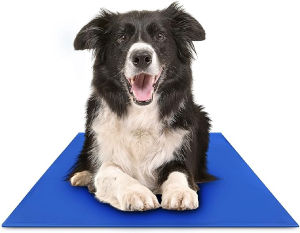 Chillz Dog Cooling Mat, Large – Pressure Activated Pet Cooling Mat for Dogs – No Water or Refrigeration Needed – Non-Toxic Gel Cooling Pad, Ideal for Home, Travel and Crates – 36 x 20 Inches