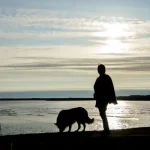 Fig 0.5. Silhouette of woman and dog on beach with water and blue sky in background.
