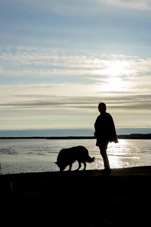 Fig 0.5. Silhouette of woman and dog on beach with water and blue sky in background.