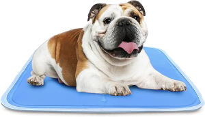 The Green Pet Shop Dog Cooling Mat, Medium – Pressure Activated Pet Cooling Mat for Dogs and Cats, Sized for Medium Sized Pets (21-45 Lb.) – Non-Toxic Gel, No Water Needed for This Dog Cooling Pad