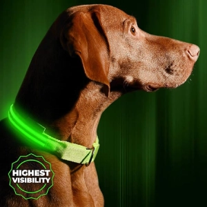Illumiseen LED Dog Collar USB Rechargeable – Bright & High Visibility Lighted Glow Collar for Pet Night Walking – Weatherproof, in 6 Colors & 6 Sizes (Green Large)
