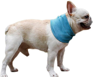 NACOCO 2 Pcs Dog Instant Cooling Scarf Summer Pet Bandana Cats Collar Ice Towels for Bulldog (L)