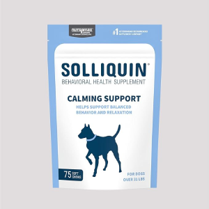 Nutramax Solliquin Calming Behavioral Health Supplement for Large Dogs – with L-Theanine, Magnolia/Phellodendron, and Whey Protein Concentrate, 75 Soft Chews