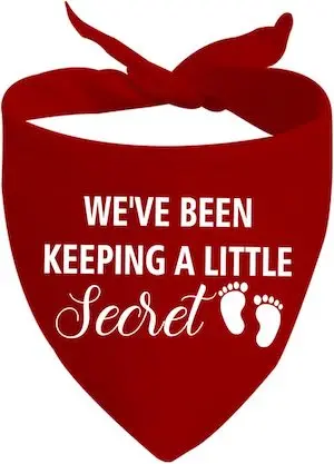 JXGZSO 1 Piece We Have been Keeping A Little Secret Dog Bandana Pregnancy Announcement Gift New Baby Announcement Gift (A Little Secret Dog)