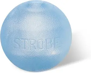 Outward Hound by Planet Dog Strobe Light Up LED Ball Dog Toy, Blue
