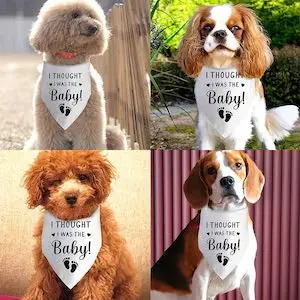 I Thought I was The Baby Announcement Dog Bandana White Dog Bandana Pregnancy Announcement Announcement Photo Puppy Bandana for Small Medium Cat Dogs