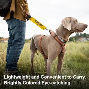 YROVWENQ Blind Dog Dog Leash Wrap with Visual Impairment Yellow Alert and Hanging ID Tag – Thoughtful Gift Idea for Pet Birthdays and More (Blind Dog Sleeve)