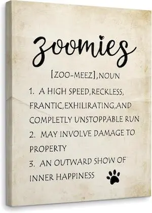 WODMIS Dog Wall Decor, Zoomies Dog Definition Framed Canvas Wall Art, Gift for Dog Lover Mom Onwer, Pet Puppy Paw Canvas Wall Art Home Decorations for Farmhouse Living Room Bathroom Decor 16×24