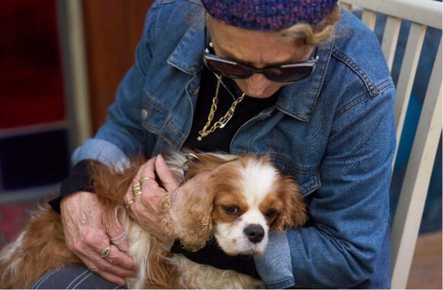 “She Came Home”: Israeli Family Reunites With Their Dog 18 Months After She Vanished in Gaza