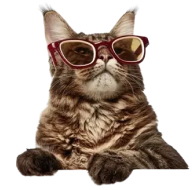 cat-icon_image