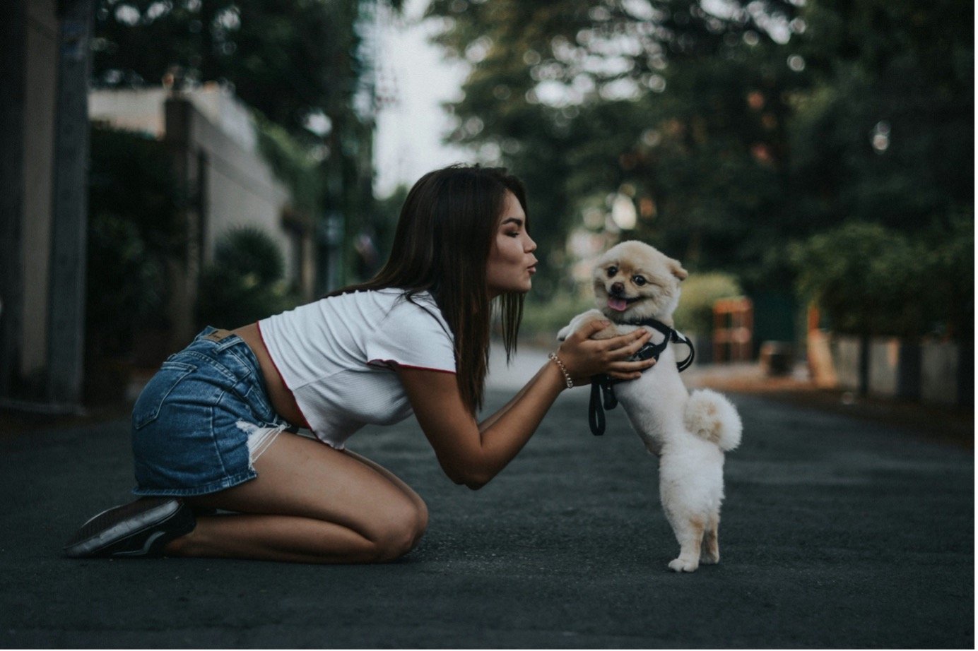 It’s Take Your Dog to Work Day — Meet the Celebs and Their Four-Legged Co-Stars 🐾