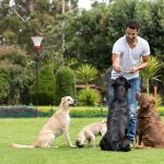 How Ordinary Pets Are Helping Sniff Out a Crop-Killing Invasive Pest